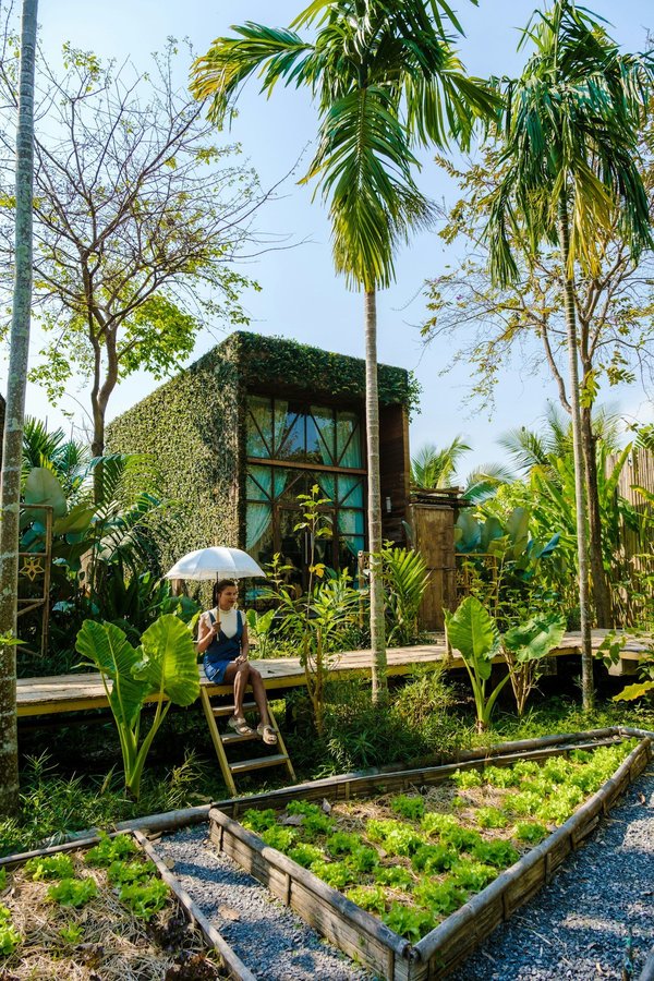 What are the advantages of using raised garden beds ?